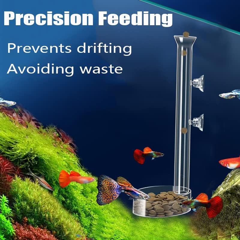Fish Feeding Ring, Shrimp Feeding Dish, and Feed Measuring Spoon - Ideal Betta Fish Toys and Aquarium Accessories with Coral Feeder and Shrimp Tube