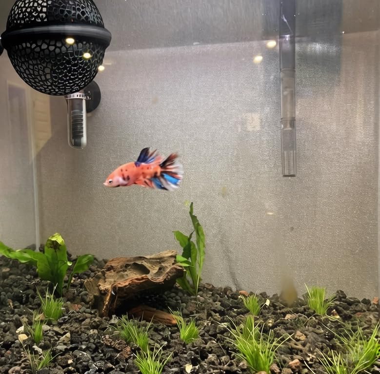 2 PCS Floating Betta Hammock,Betta Fish Tank Accessories, 3D Printed Aquarium Decor Floating Betta Hide with Feeding Ring Safe Resting Spot for Stress-Free Fish Tank(Black)