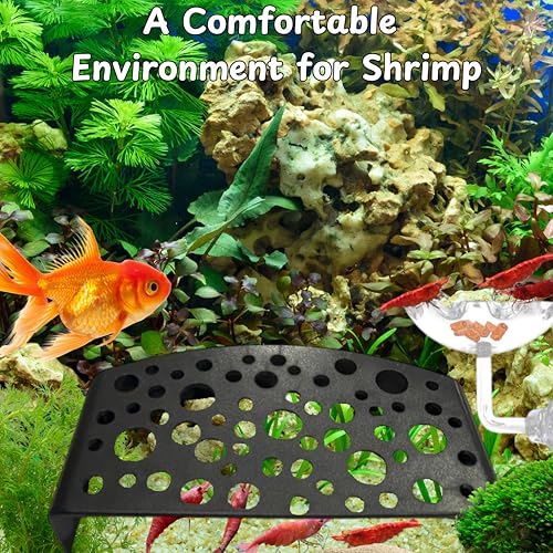 Aquarium Shrimp Hideout with Feeding Tray set, Shrimps Hides with Mini Fish Bowl, Shrimp Tunnel Aquarium Cave and Feeder Dish, Shrimps Shelter and Breeding Supplies, Small Fish Tank Accessories (Cave)