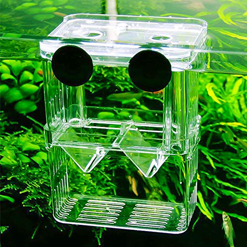 Senzeal Aquarium Fish Breeder Box Plastic Fish Isolation Breeding Box Hatching Incubator Box for Baby Fishes Shrimp Clownfish Guppy - size: Medium