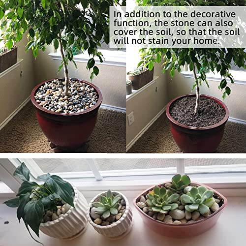 Pebbles for Plants 7 lb Natural River Rocks for Garden Outdoor Aquariums Gravel 1-1.5 Inches - size: 7LB, style: Colour