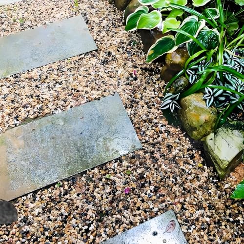 FANTIAN 5 lbs Polished Pebbles, 3/8 Inch Pea Gravel for Plants, Decorative Stones River Rocks for Succulent Soil Cover, Cactus, Aquarium, Vase and Outdoor Garden Landscaping - size: 5 pounds, style: Natural