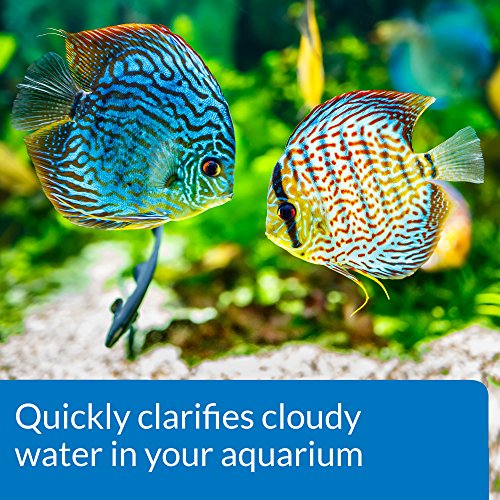 API ACCU-CLEAR Freshwater Aquarium Water Clarifier 1.25-Ounce Bottle (111A) - size: 1.25-Ounce