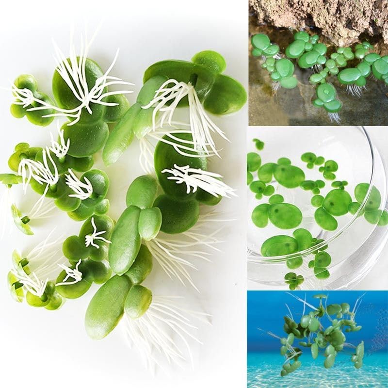54 Pack Floating Aquarium Plants Artificial Plastic Fake Duckweed Simulation (3 Size)