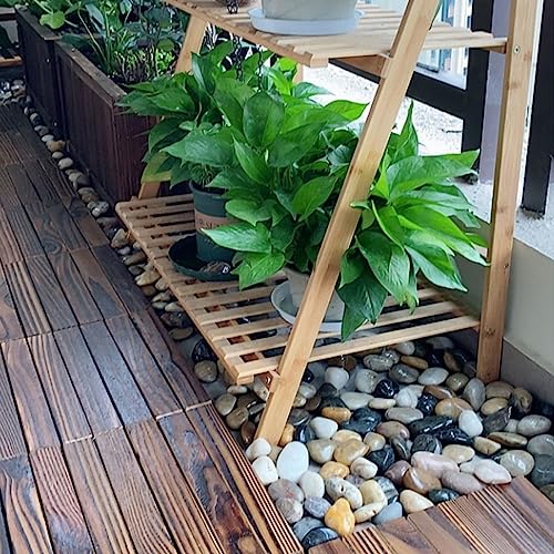 YISZM 10lbs Pebbles for Indoor Plants, 2-3 Inch Mixed Color High Polished Large River Rocks Outdoor Decorative Stones Vase Filler Fish Tank Aquariums Landscaping Garden Outdoor and Indoor DIY - color: Mixed Color, size: 10 Pounds