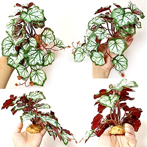 Woyrise Reptile Artificial Plants for Terrarium Decor, Amphibian Habitat Hideout Bearded Dragon Tank Decorations fit Crested Gecko Leopard Lizard Chameleon Ball Python Snake Frog - Saxifrage