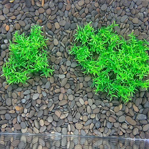Aquarium Plant Fish Tank Decoration 20 Pieces Small/1" Tall Plastic Artificial Plant Goldfish Hidden Mini Grass Set (Green-A) - color: Green-a