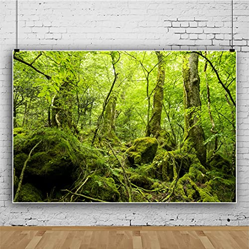 7x5ft Peaceful Natural Scenery Backdrop Evergreen Forest Rustic Landscape Sunshine Tree Photography Background Kids Birthday Party Banner Adventure Theme Polyester Studio Props Portrait Photo - size: 7x5ft-P