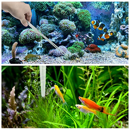 Fish Tank Cleaning Tools, 6 pcs Aquarium Cleaning Tools, Feeder Tools Kit, Aquarium Plants Cleaner, Algae Scraper for Glass Aquariums