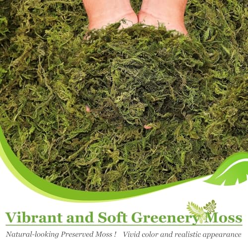 Riare 2.6LBS Artificial Fake Moss for Fake Plants Indoor- Premium Faux Craft Moss for Potted Plant, Fresh Forest Green Moss for Hamsters Micro-Landscape Terrariums Centerpieces Decor - color: 2.6 Lb
