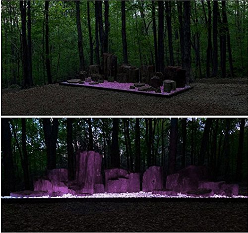 340PCS Glow Stone Glowing in The Dark Pebbles Outdoor Decor Fish Tank Gravel Rocks Decoration (Pink in Daytime, Purple in The Dark) - color: Purple, size: 340
