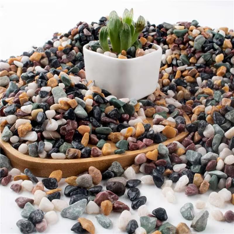 AVALUTION Aquarium Gravel for Plants -7lb Fish Tank Gravel for Succulent Cactus & Bonsai, 1/4Inch Decorative River Rocks Pebbles for Gardening, Flower Pots, Landscaping, Terrarium - color: Mix Gravel, size: 7LB
