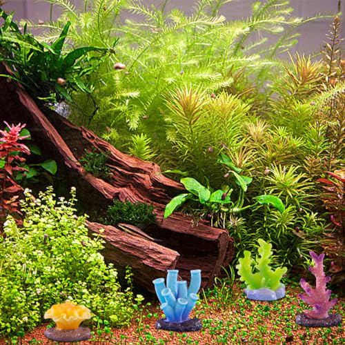 6 Pieces Artificial Coral Plant for Fish Tank Decorative Micro Landscape Decor Aquarium Reef Ornament for Aquarium Tank Decorations Miniature Moss Landscape DIY (6PCS) - color: 6pcs