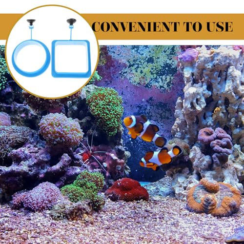 2pcs Reusable Plastic Fish Feeding Rings Aquarium Feeding Circles Floating Fish Feeder for Tank Tropical Food Retaining Ring Aquarium Accessory