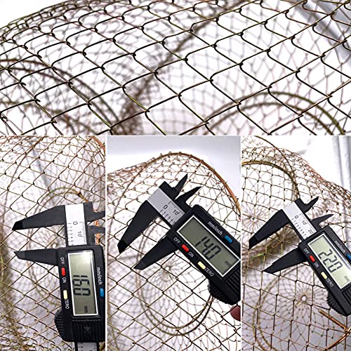 Metal Rustproof Collapsible Fish Basket - Robust and Easy to Use Net Cage for Live Fish