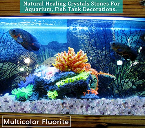MAIBAOTA Natural Multicolor Fluorite Crystal Quartz Rocks Chips Vase Filler Rocks for Succulent Plant Small Fish Tank Aquarium Gravel Decorative Pebbles Stones(200 gram) - color: Multicolor-fluorite, size: 0.45 Pound