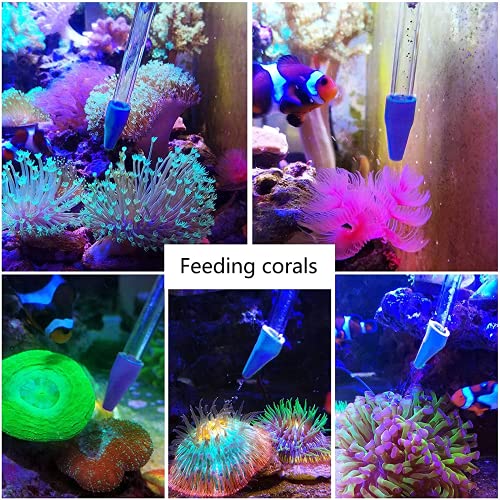 Aquarium Choice Coral Feeder Long Syringe, 2 Units, SPS HPS Marine Reef Coral Feeder Tool, 2 Tweezers for Coral Frag, Fish Excreta Cleaner - size: 2 units coral feeder and 2 units tweezers
