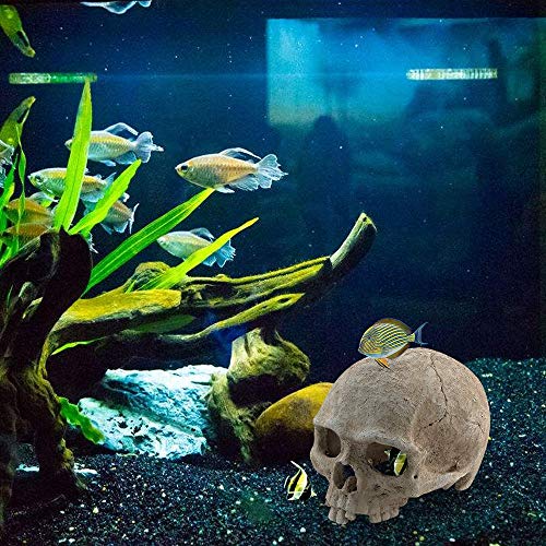 Aquarium Resin Skull, for Aquarium Decoration Reptile House Cave Family Daily Decoration
