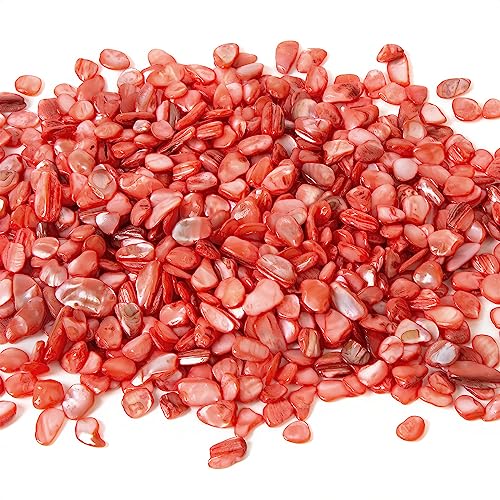 QICQDRAM Crushed Shells for Crafts About 1LB (405g/14.28oz) Small Natural Crushed Shells Bulk for Crafts DIY Beaching Wedding Decoration Vase Fillers (Red) - color: Red, size: 1LB (405g/14.28oz)