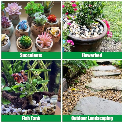 Rocks for Plants 5 Lbs, 0.8-1.5 Inch High Polished Pebbels, Decorative Stones for Garden Landscaping, Smooth Gravel Filler for Outdoor Plants, Succulents, Fish Tank and Vases - color: colored