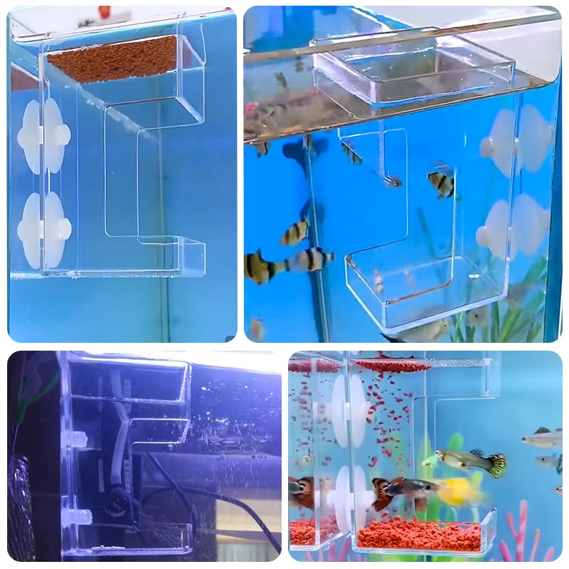 2 PCS Square Fish Feeder with Suction Cup Fish Tank Feed Tray Feeding Tube Supplies Breeder Box for Aquarium