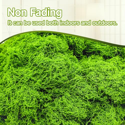 Fake Green Moss for Potted Plants Indoor, 5.3oz Artificial Moss for Crafts, Faux Decor for Fairy Garden, DIY Decorative, Model Making, Walls, Glass Containers, Home - color: Light Green 5.3oz