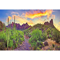 7x5ft Western Desert Backdrop Arizona National Park Rock Mountain Green Plants Saguaro Cactus Landscape Terrarium Background Reptile Habitat Tank Decor Cowboy Pet Portrait Photo Shoot Props - size: 7x5ft