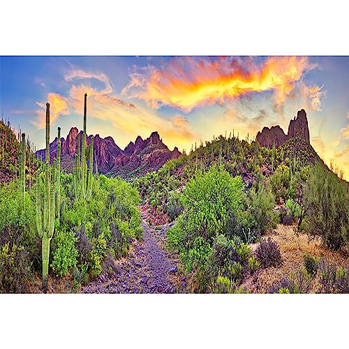 7x5ft Western Desert Backdrop Arizona National Park Rock Mountain Green Plants Saguaro Cactus Landscape Terrarium Background Reptile Habitat Tank Decor Cowboy Pet Portrait Photo Shoot Props - size: 7x5ft
