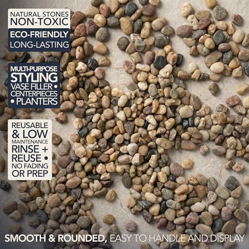 River Rocks Decorative Ornamental Vase Filler 0.5" - 0.75" Natural Aquarium Gravel 5 lbs - Landscaping Pebbles for Indoor Plants, Succulents,Terrarium & Home Decor, DIY & Crafting – Royal Imports - size: Small - 5 lbs, style: Natural