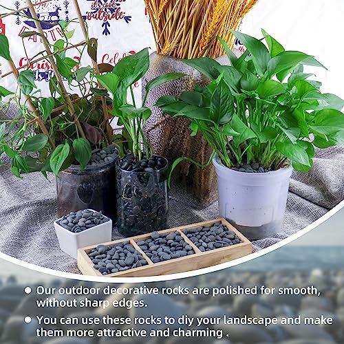 18lb Small Smooth River Rocks Pebbles for Plants & Succulents, Decorative Outdoor Landscaping Garden Rocks, Natural Mexican Beach Pebbles, Gravel for Aquarium, Fish Tanks, Vase and Yard Decor - size: 18LB, style: Small