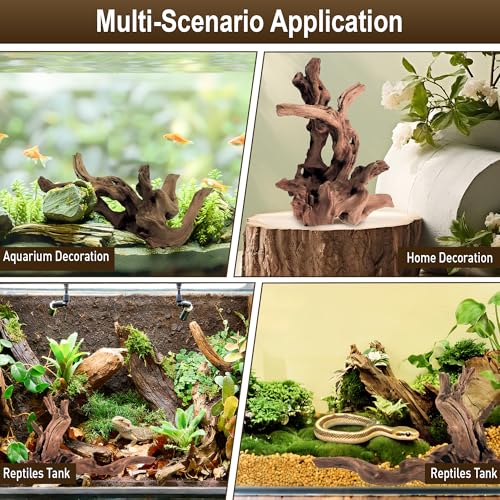 Kaiyuan Dynasty 2Pcs 10-12" Natural Coral Driftwood for Fish Tank Decorations Aquarium Driftwood for Reptile Aquatic Plants Aquascaping - size: Driftwood 10 to 12 Inch(Pack of 2)