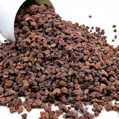 YISZM Red Horticultural Lava Rocks for Plants, 10 lb Succulents Cactus Bonsai Soil Lava Rocks for Aquarium Outdoor Decorative Stones for Craft Projects, Vase Fillers - color: Red Lava Rock, size: 10 Pounds