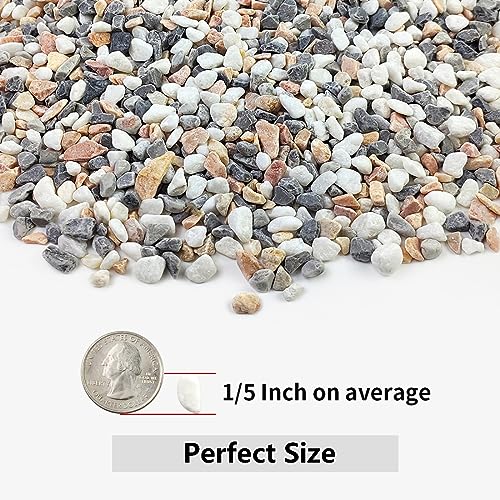 YISZM 10LB Succulent and Cactus Gravel Pebbles, 1/5 Inch Natural Decorative Polished Stones, River Rocks for Plants, Vases, Aquariums, Terrarium and Outdoor Gardening,Mixed Color - color: Mixed, size: 10 Pounds