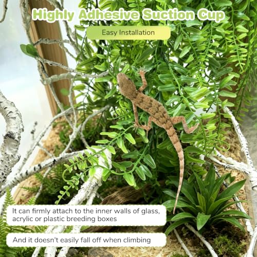PINVNBY Reptile Plants Hanging Fake Vines Boston Climbing Terrarium Plant with Suction Cup for Bearded Dragons Lizards Geckos Snake Pets Hermit Crab and Tank Habitat Decorations (6 Pack) - size: 6PCS