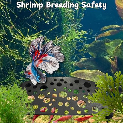 Aquarium Shrimp Hideout with Feeding Tray set, Shrimps Hides with Mini Fish Bowl, Shrimp Tunnel Aquarium Cave and Feeder Dish, Shrimps Shelter and Breeding Supplies, Small Fish Tank Accessories (Cave)