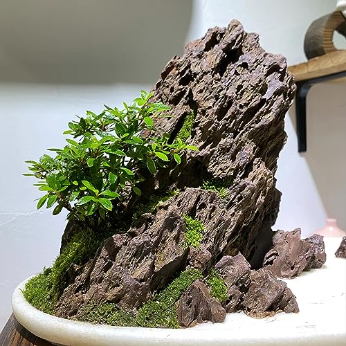 Aquarium Rocks 5lb Dragon Stone for Aquariums Aquascaping Landscaping Model Fish Tanks Terrariums Vivariums Decoration Paludarium Amphibian Enclosures-2-4 Inches - size: 5LB(2-4 Inches)