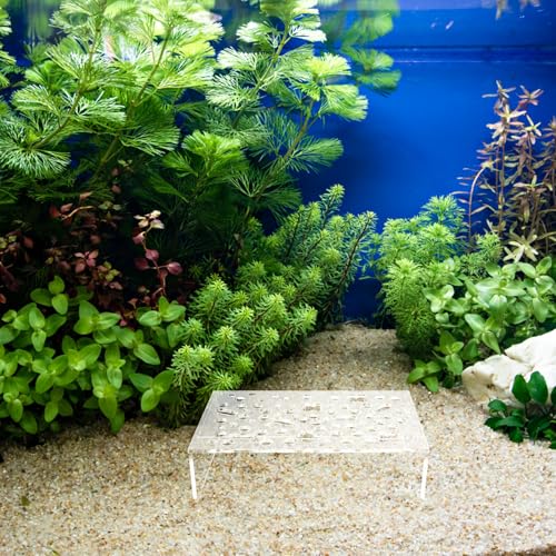 NUOBESTY Aquarium Shrimp Hideout Shelter Multiple Holes Plastic Fish Tank Decoration Breeding Cave for Shrimp and Small Fish Habitat