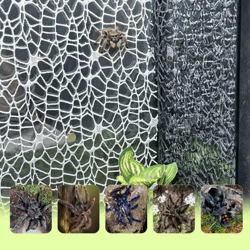 Hamiledyi Jumping Spider Enclosure Accessories 20 x 12'' Climbing Net Magnetic Spider Web Mesh Mantis Enclosure Net Tarantula Terrarium Habitat Decor (White+Black) - color: White+Black