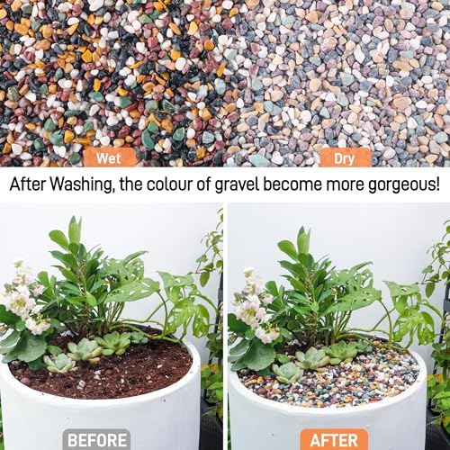 CJGQ 7lb Aquarium Gravel for Plants, 1/4Inch Fish Tank Gravel for Succulent Cactus and Bonsai, Decorative River Rocks Pebbles for Gardening, Flower Pots, Landscaping,Terrarium - color: Mixed Pebble, size: 7lb