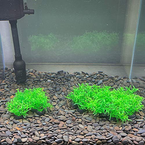 Aquarium Plant Fish Tank Decoration 20 Pieces Small/1" Tall Plastic Artificial Plant Goldfish Hidden Mini Grass Set (Green-A) - color: Green-a