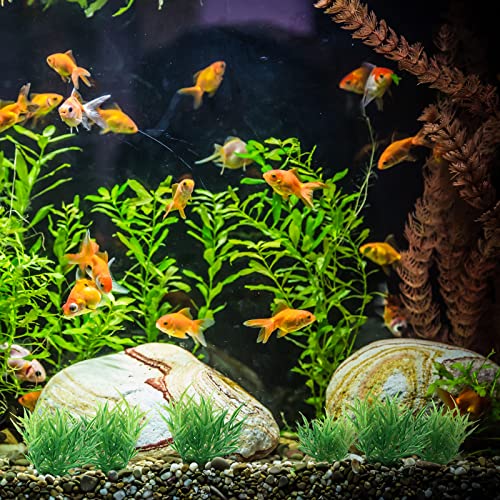 Piutouyar Green Aquarium Plant Ornaments, Artificial Water Plants, Lifelike Plastic Fish Tank Foreground Grass, Water Tank Decorations (10Pcs)