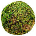 SuperMoss (25440) Moss Ball, Fresh Green, 2" Pack of 4 - color: Fresh Green, size: 2"
