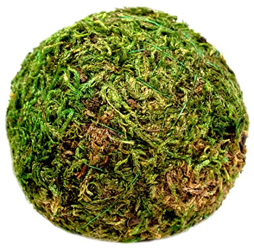 SuperMoss (25440) Moss Ball, Fresh Green, 2" Pack of 4 - color: Fresh Green, size: 2"