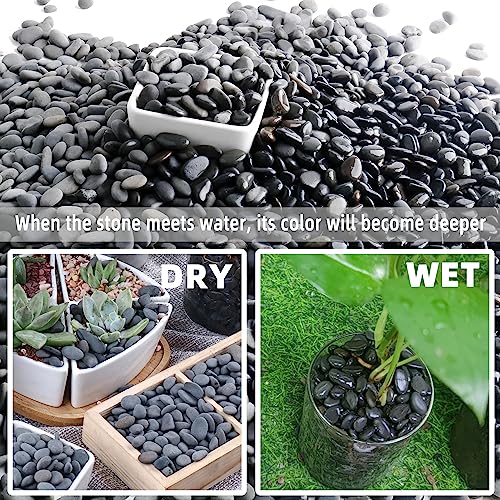 7lb Natural River Rocks Pebbles for Plants & Succulents, Decorative Outdoor Landscaping Garden Rocks, Mexican Beach Pebbles for Aquarium & Vase Decor - size: 7LB, style: Small