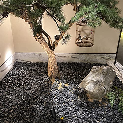 FANTIAN 2 lbs Black Pebbles for Indoor Plants, 1-2 Inch Small Bag Black Stones. Decorative River Rocks for Plants, Landscaping, Vase Fillers and Outdoor Garden - size: 1-2 inch, style: 2.0 Pounds