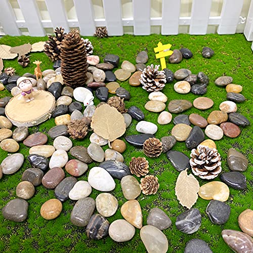 FANTIAN 2 lbs Pebbles for Plants, 1-2 inch Polished River Rocks for Plants Indoor Aquarium Terrarium, Stones for Planters Vase Landscaping and Outdoor Yard Decorative Stones - size: 1-2 Inch, style: 2 Pounds