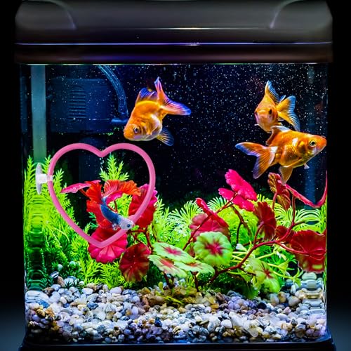 Heart Betta Fish Tank Decor Accessories, Pink Betta Fish Toys Decorations Supplies for Aquariums, Cute Design Not Easily Damaged Pink Aquariums Accessories