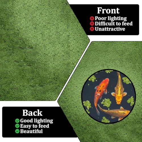 10 Pcs Aquarium Fish Feeding Ring Sets 5 Sizes Floating Plant Barrier Fishes Tank Accessories for Fish Tank Floating Plants Rectangles Circles Black