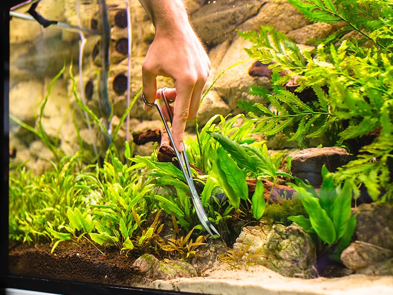 VORESTIC 2PCS 15" Curved Aquarium Tweezers Long and 9.8" Aquarium Scissors, Feeding Tongs and Scissors with Protective Cap, Stainless Steel Aquascaping Tools for Plant Trimming and Reptile Feeding
