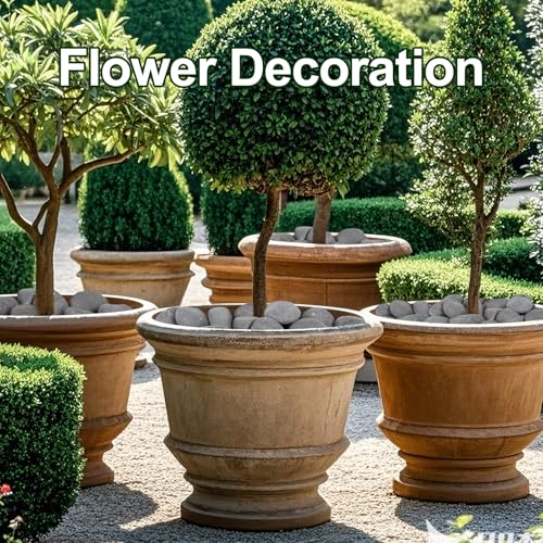 40 lbs Rocks for Outdoor Landscaping, 2"-3" Aquarium Rocks for Fish Tank, Natural Decorative Garden Stone for Plants, Flower Pots, Vase, Walkways, Yard - color: Black, size: 40 lbs, 2-3 Inch